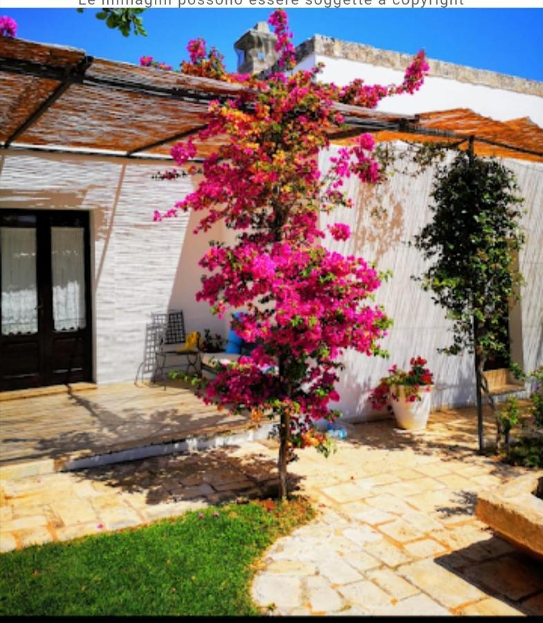 Room In Bb - Stunning Quadruple Room In Ancient Masseria Near The Sea In A Quiet Olive Trees Остуни Экстерьер фото